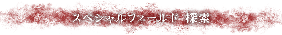スペシャルフィールド 探索