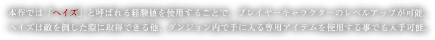 本作では「ヘイズ」と呼ばれる経験値を使用することで、プレイヤーキャラクターのレベルアップが可能。ヘイズは敵を倒した際に取得できる他、ダンジョン内で手に入る専用アイテムを使用する事でも入手可能。