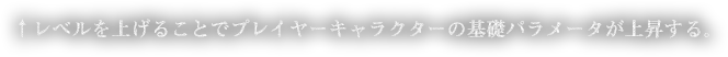 レベルを上げることでプレイヤーキャラクターの基礎パラメータが上昇する。