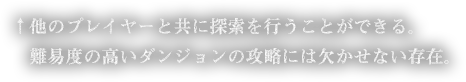 他のプレイヤーと共に探索を行うことができる。難易度の高いダンジョンの攻略には欠かせない存在。