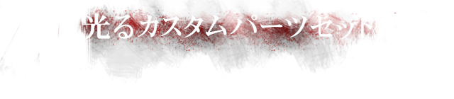 光カスタムパーツセット