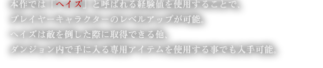 本作では「ヘイズ」と呼ばれる経験値を使用することで、プレイヤーキャラクターのレベルアップが可能。ヘイズは敵を倒した際に取得できる他、ダンジョン内で手に入る専用アイテムを使用する事でも入手可能。