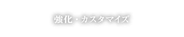 強化・カスタマイズ