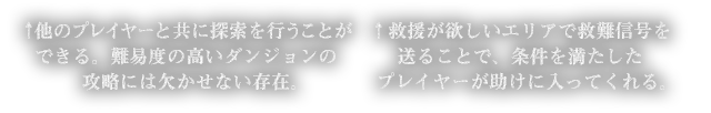 他のプレイヤーと共に探索を行うことができる。難易度の高いダンジョンの攻略には欠かせない存在。